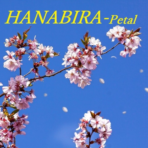 HANABIRA - Petal