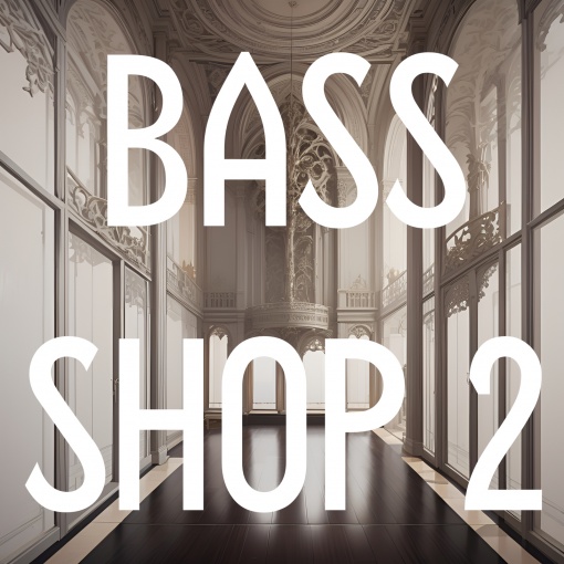 Bass Shop 2