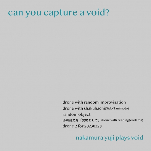 can you capture a void