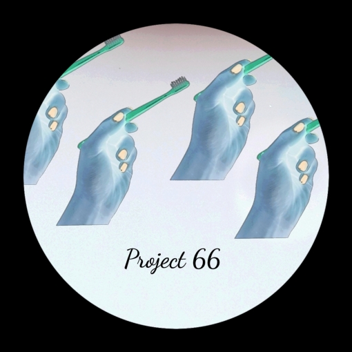 Project 66
