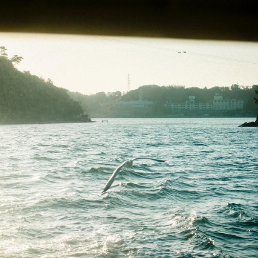 そこにきみはいて(オリジナル・サウンドトラック)