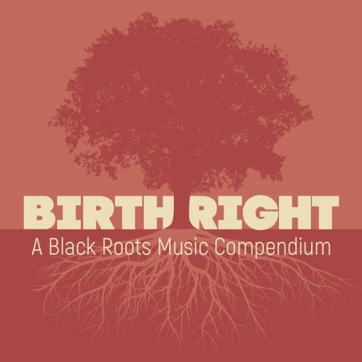 Birthright: A Black Roots Music Compendium(Folk Sampler)