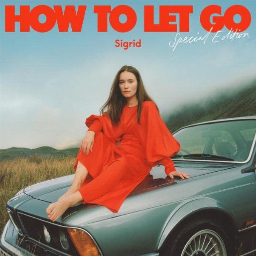 How To Let Go(Special Edition)