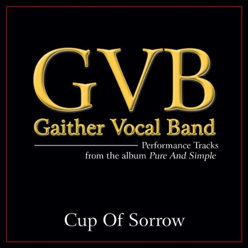 Cup Of Sorrow(Performance Tracks)