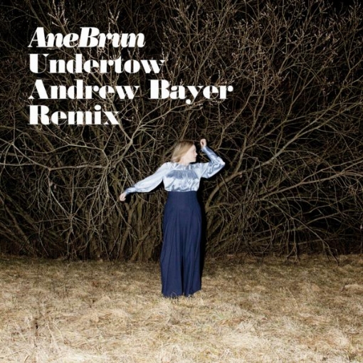 Undertow(Andrew Bayer Remix)