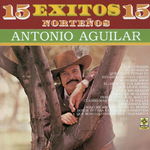 15 Exitos Nortenos 15