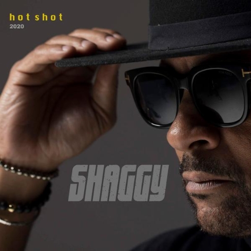 Hot Shot 2020(Deluxe)