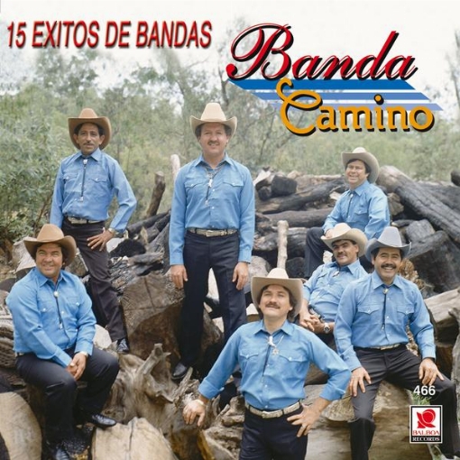 15 Exitos De Bandas