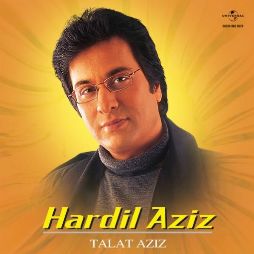 Hardil Aziz