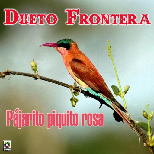 Pajarito Piquito Rosa