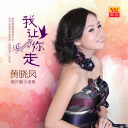 Wo Rang Ni Zou ( Liu Xing Mei Li Lian Ge V)