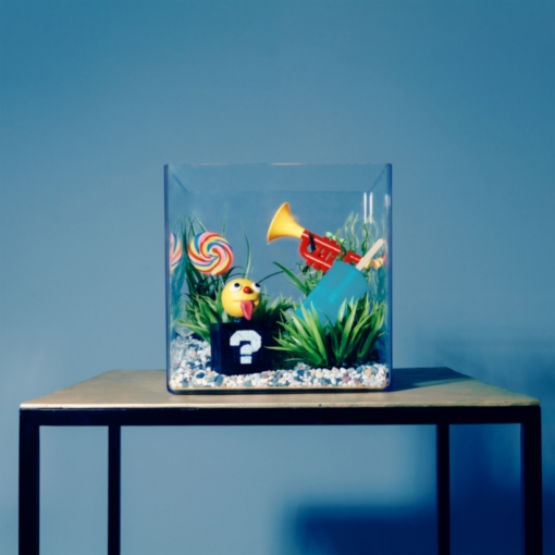 aquarium