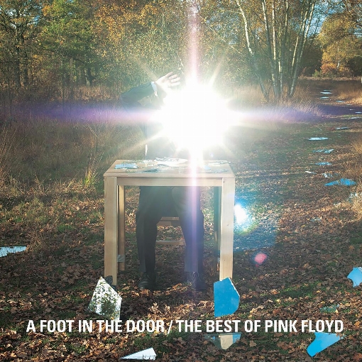 A Foot in the Door: The Best of Pink Floyd