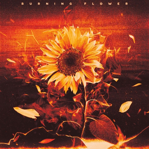 Burning Flower