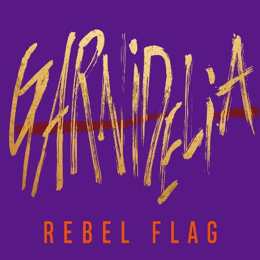 REBEL FLAG