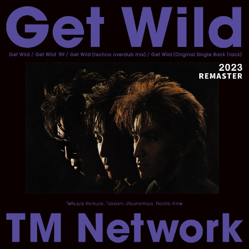 GET WILD (techno overdub mix) - 2023 REMASTER -