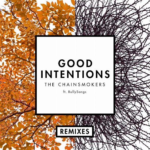 Good Intentions (Unlike Pluto Remix) feat. BullySongs