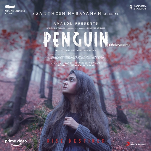 Penguin (Malayalam) (Original Motion Picture Soundtrack)