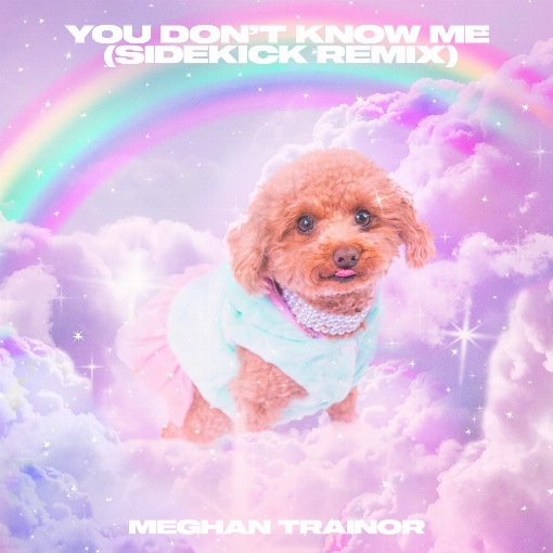 You Don't Know Me (Sidekick Remix)