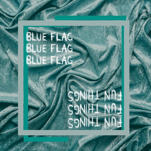Blue Flag / Fun Things