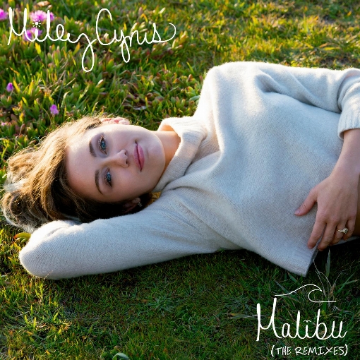 Malibu (Tiesto Remix)