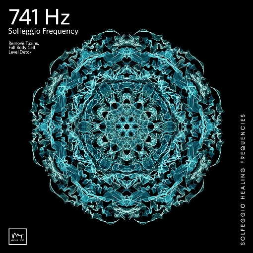 741 Hz Full Body Detox