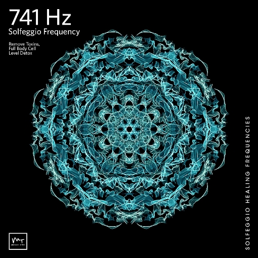 741 Hz Cleanse Aura