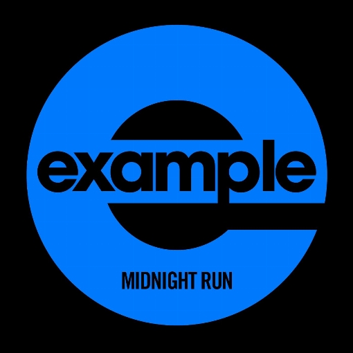 Midnight Run (Sheldrake Remix)