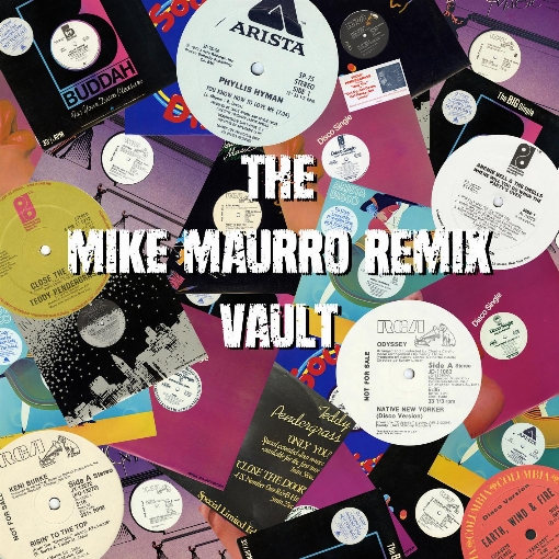 Use It Up and Wear It Out (A Mike Maurro Mix)