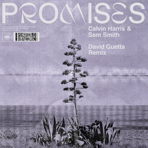 Promises (David Guetta Extended Remix)