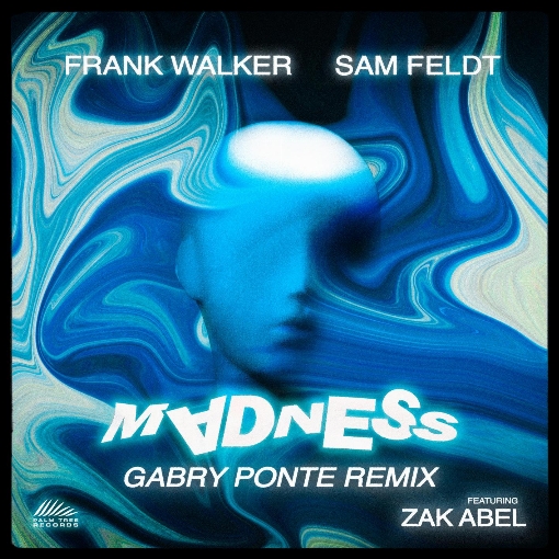 Madness (Gabry Ponte Remix) feat. Sam Feldt/Zak Abel