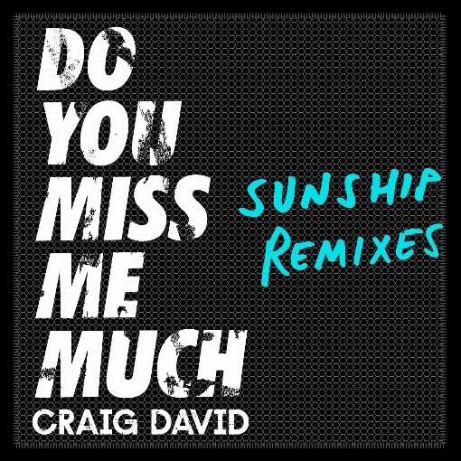 Do You Miss Me Much (Sunship Remix)