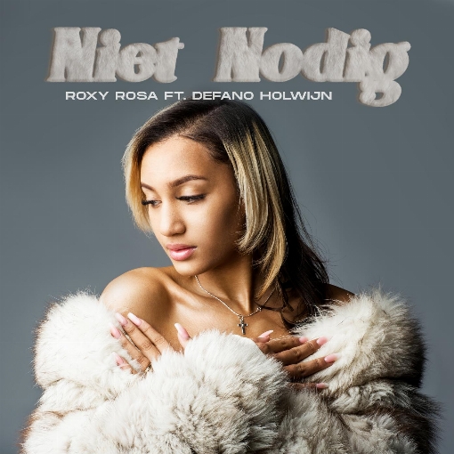 Niet Nodig (feat. Defano Holwijn)