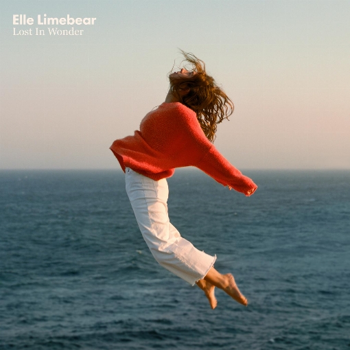 Love Song feat. Elle Limebear