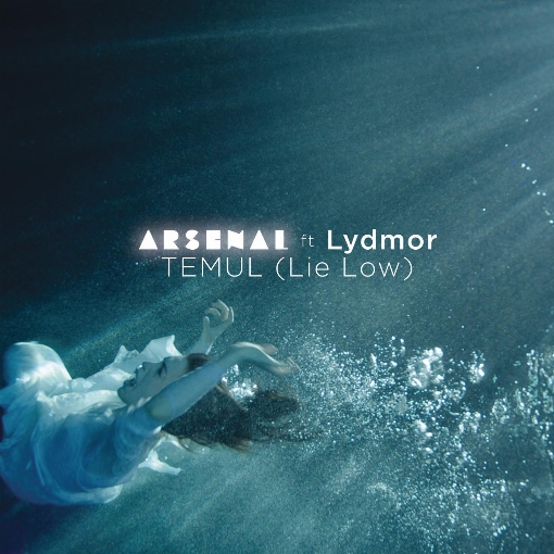 Temul (Lie Low) (Vuurwerk Remix) feat. Lydmor