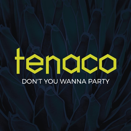 Don't You Wanna Party (Extended Remix)