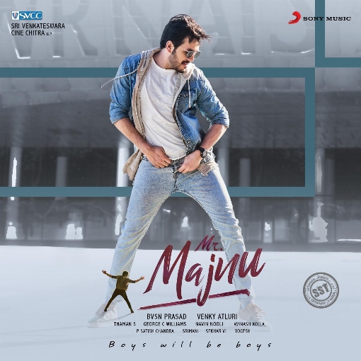 Mr. Majnu (Original Motion Picture Soundtrack)
