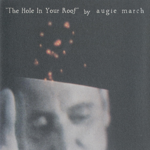 The Hole in Your Roof (Single Version)