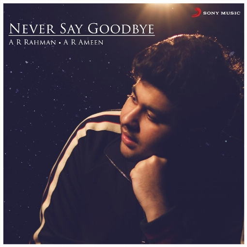 Never Say Goodbye (From "Dil Bechara")