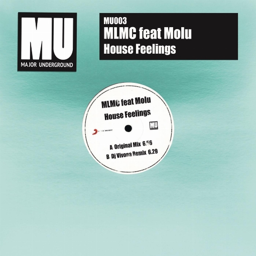 House Feelings (Dj Vivona Rmx) feat. Molu