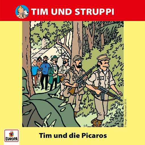 010/Tim und die Picaros