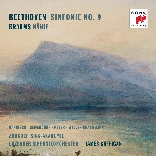 Symphony No. 9 in D Minor, Op. 125: IV. Presto