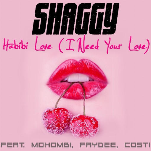 Habibi Love (I Need Your Love) feat. Mohombi/Faydee/Costi