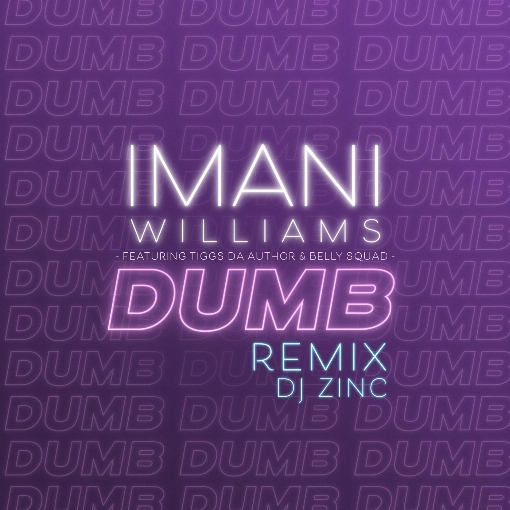 Dumb (DJ Zinc Remix) feat. Tiggs Da Author/Belly Squad