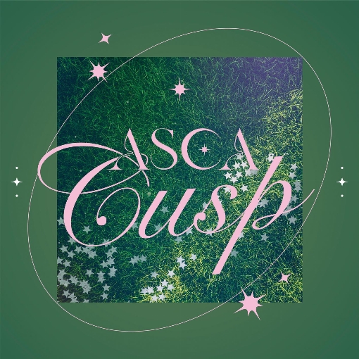 Cusp