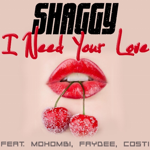 I Need Your Love feat. Mohombi/Faydee/Costi