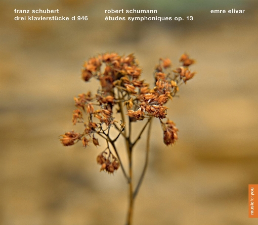 Schubert: Klavierstucke D 946, Schumann: Sinfonische Etuden op. 13