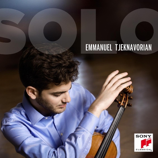 Sonata for Solo Violin in D Major, Op. 115: III. Con brio