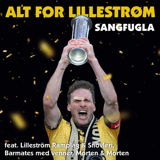 Alt for Lillestrom
