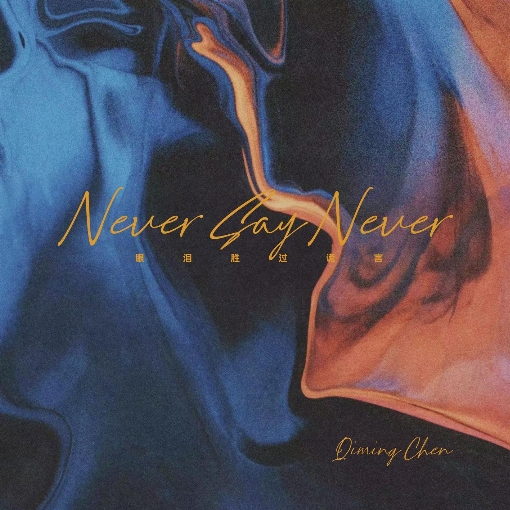 never say never (Instrumental)